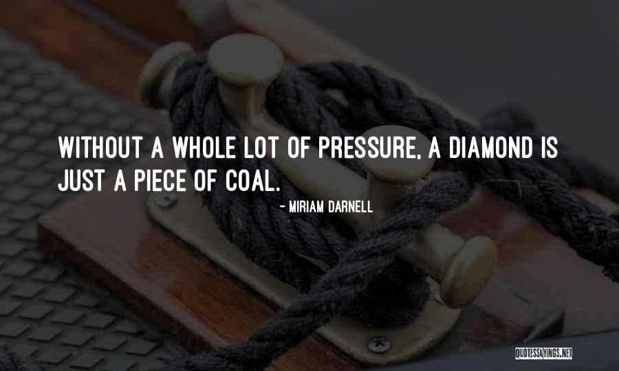 Fireworks Illegal Quotes By Miriam Darnell