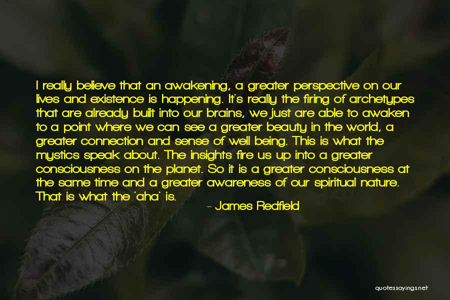 Firing Up Quotes By James Redfield Firing Up Quotes By James Redfield