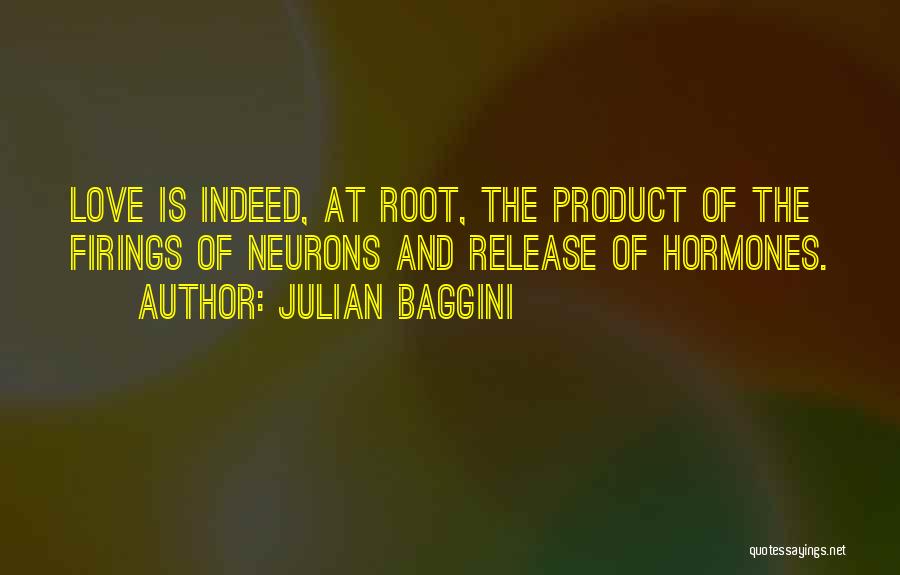 Firings Quotes By Julian Baggini