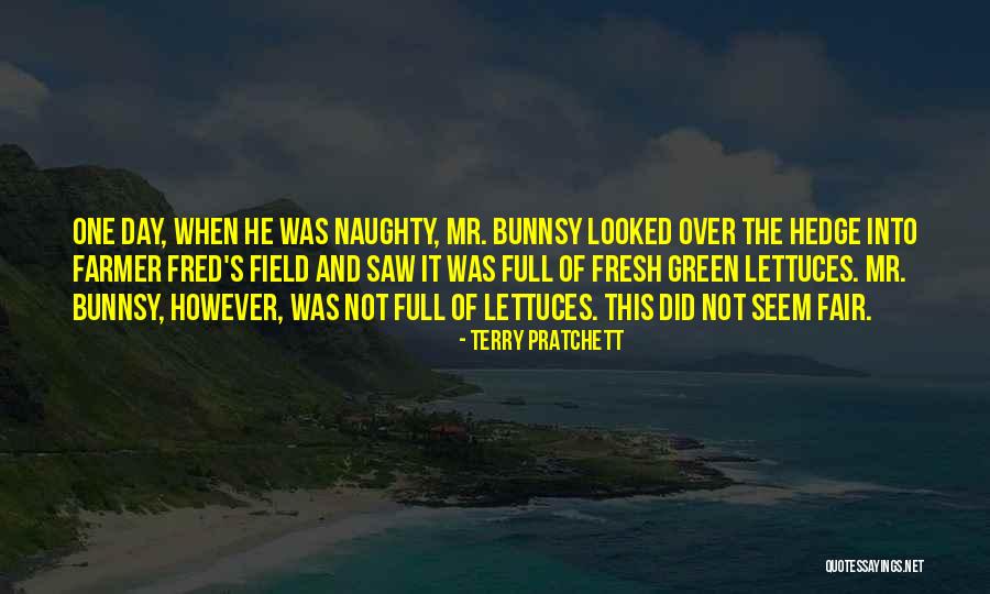Firnas Airways Quotes By Terry Pratchett Firnas Airways Quotes By Terry Pratchett