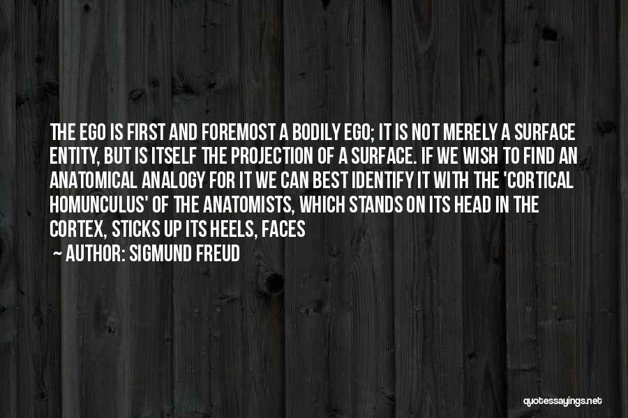 First And Foremost Quotes By Sigmund Freud