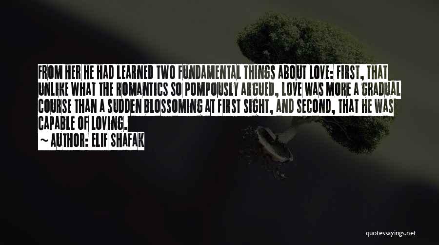 First And Second Love Quotes By Elif Shafak