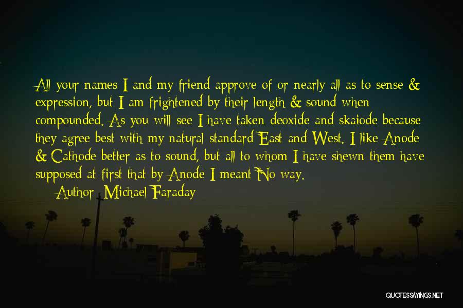 First Best Friend Quotes By Michael Faraday