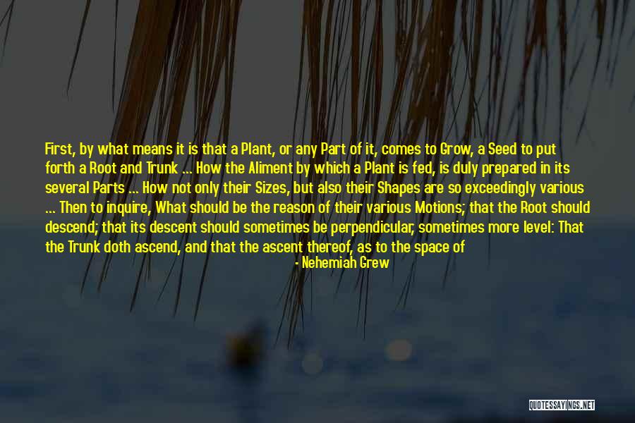 First Causes Quotes By Nehemiah Grew First Causes Quotes By Nehemiah Grew