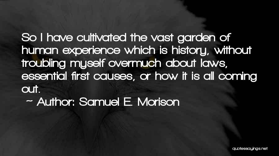 First Causes Quotes By Samuel E. Morison