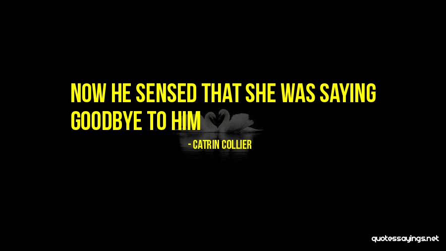 First Clothing Line Quotes By Catrin Collier First Clothing Line Quotes By Catrin Collier