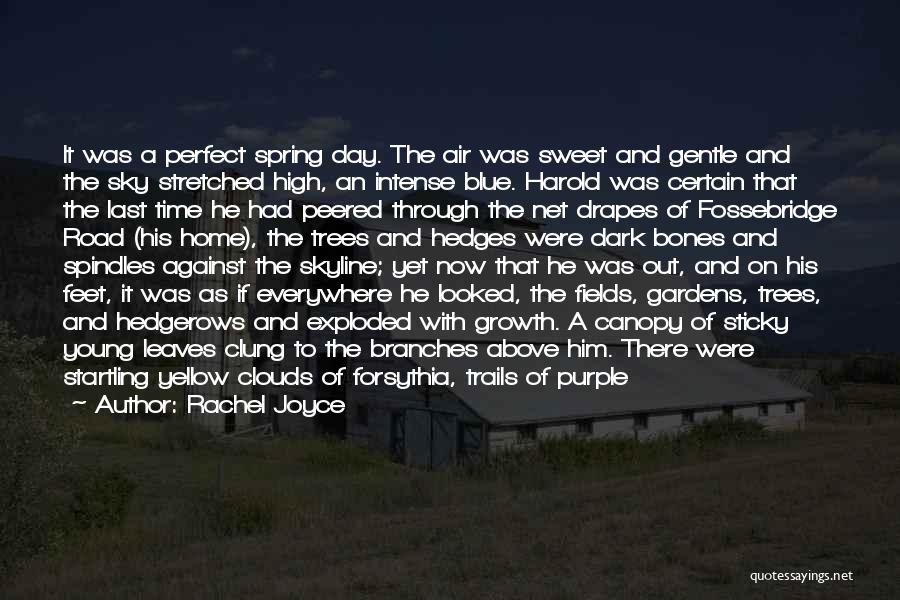 First Day Spring Quotes By Rachel Joyce