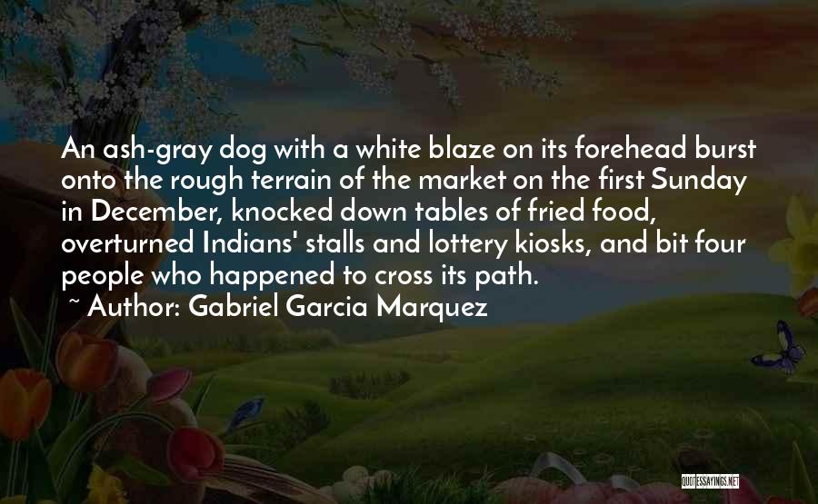 First Dog Quotes By Gabriel Garcia Marquez