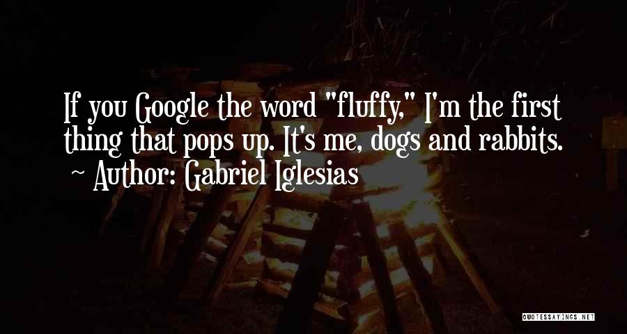 First Dog Quotes By Gabriel Iglesias