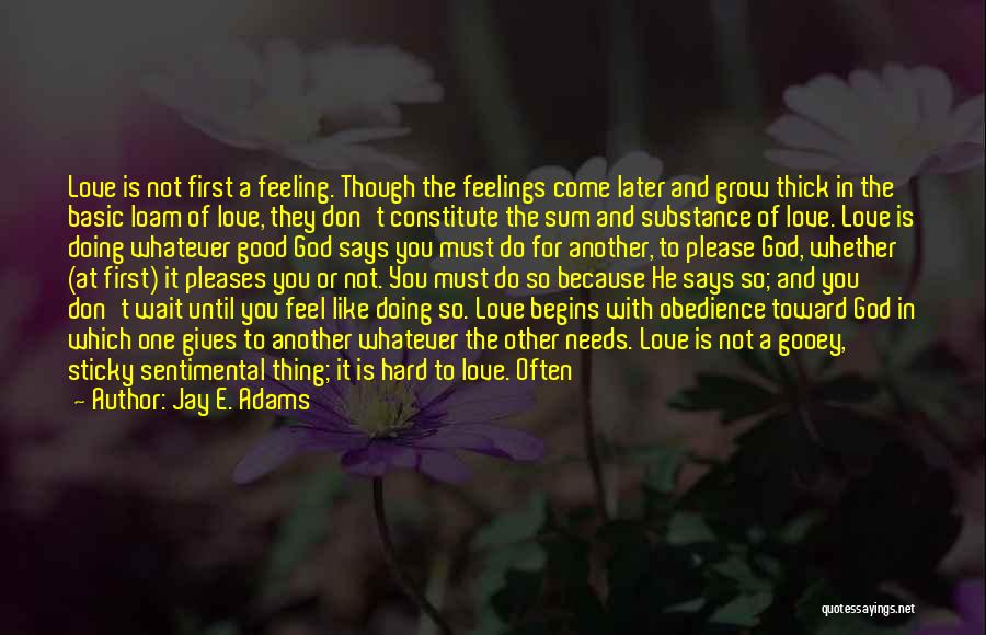 First Feeling Of Love Quotes By Jay E. Adams