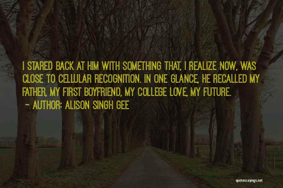 First Glance Love Quotes By Alison Singh Gee