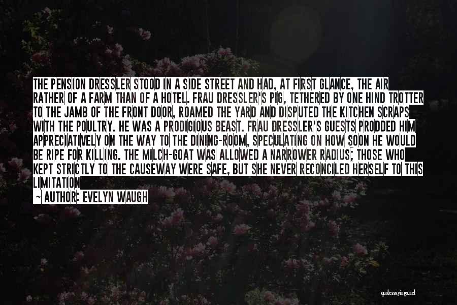 First Glance Quotes By Evelyn Waugh