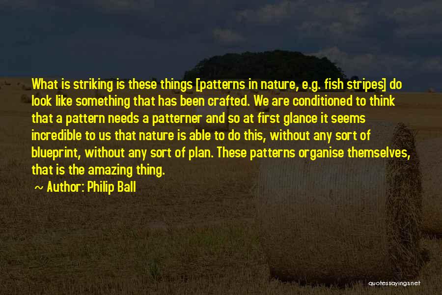 First Glance Quotes By Philip Ball