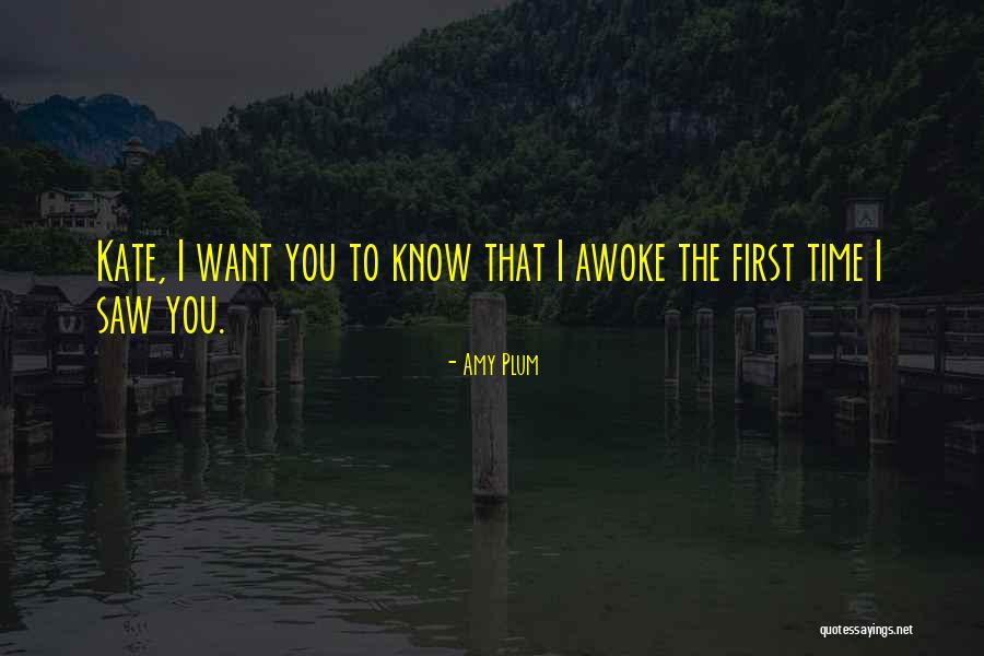 First I Saw You Quotes By Amy Plum First I Saw You Quotes By Amy Plum