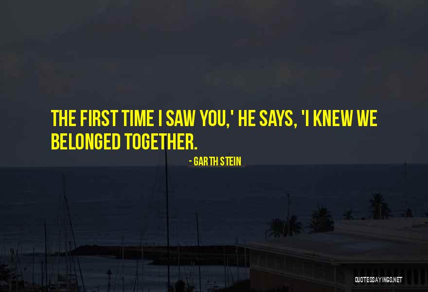 First I Saw You Quotes By Garth Stein First I Saw You Quotes By Garth Stein