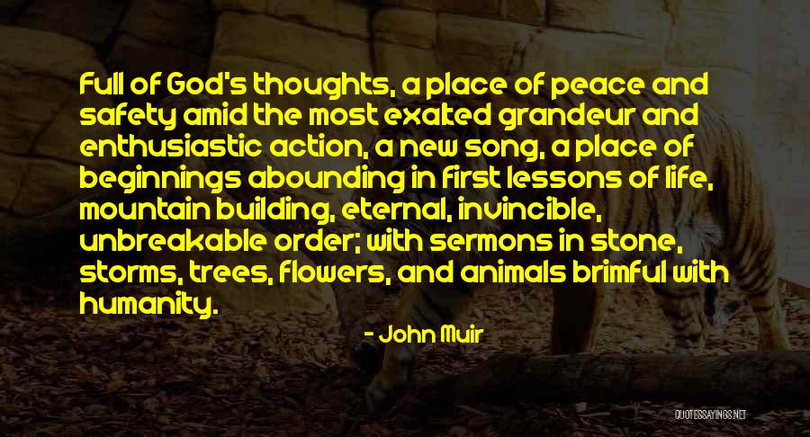 First Life Quotes By John Muir