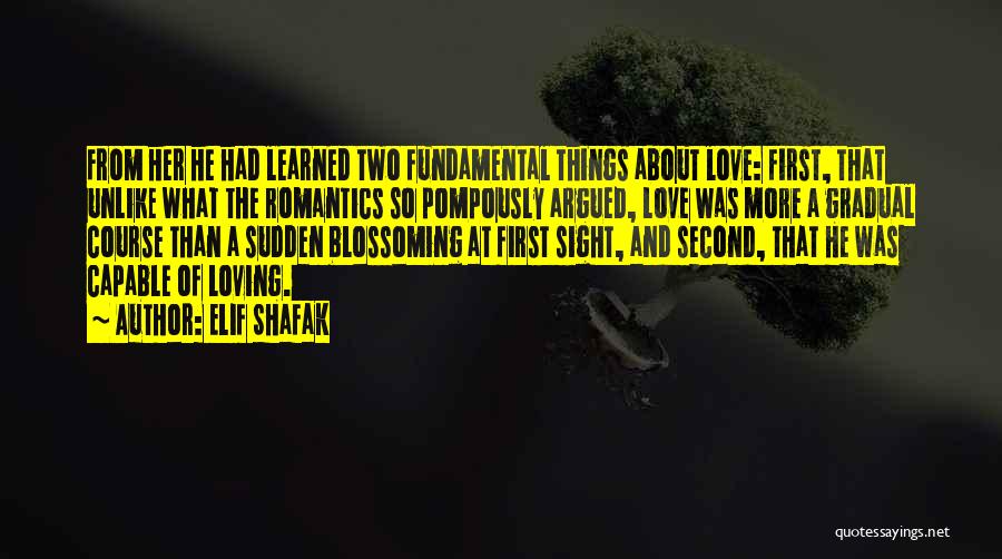 First Love And Second Love Quotes By Elif Shafak