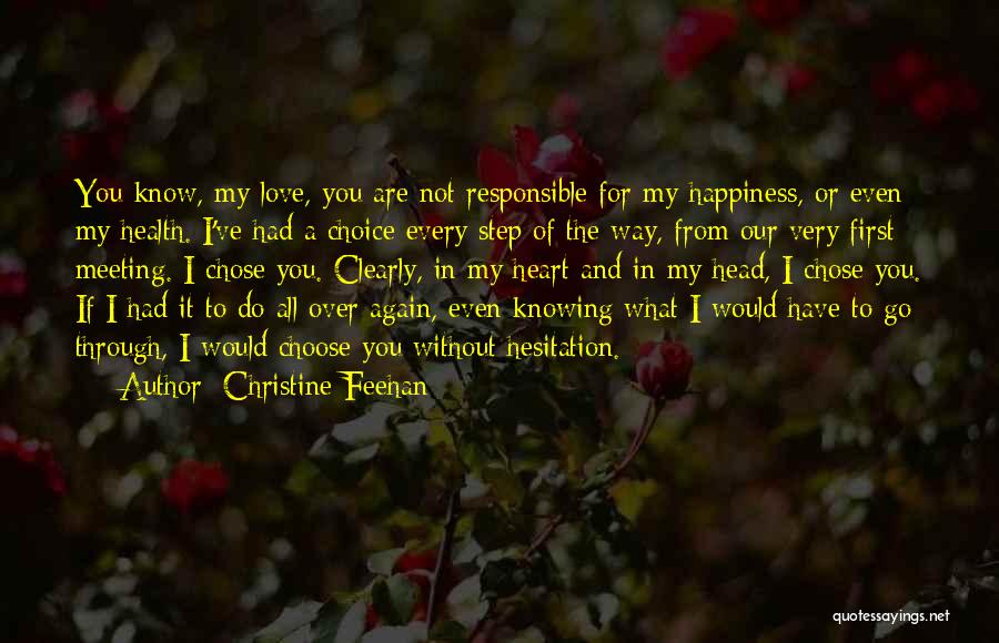 First Love Meeting Quotes By Christine Feehan