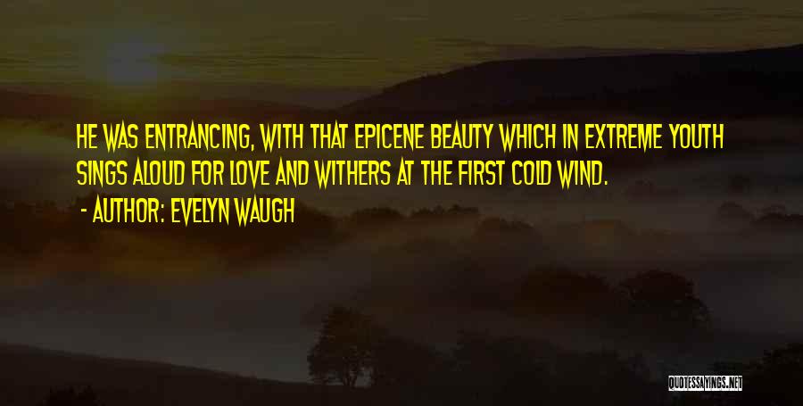 First Love Meeting Quotes By Evelyn Waugh
