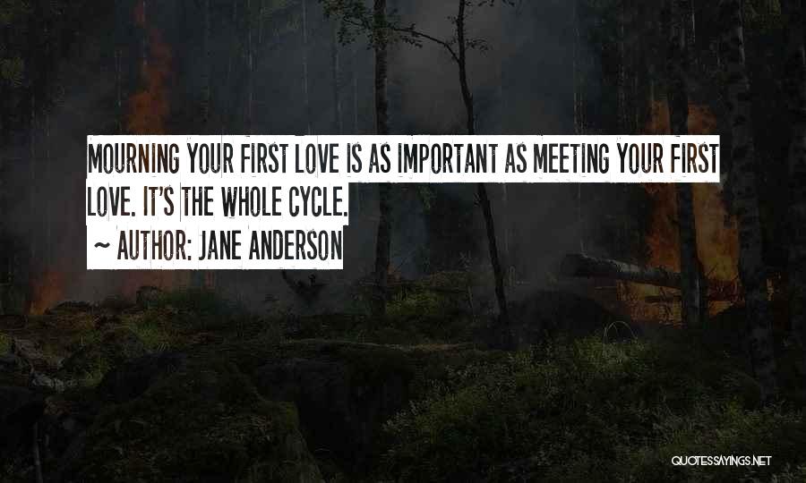 First Love Meeting Quotes By Jane Anderson