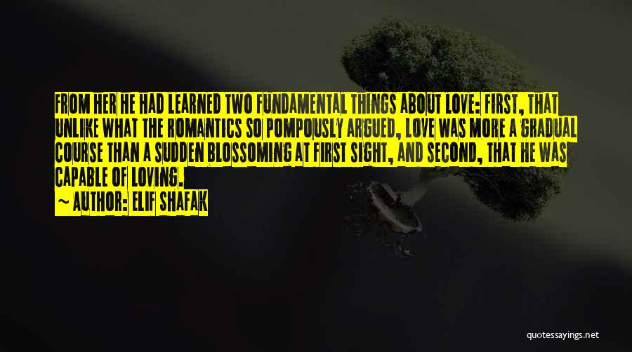 First Love Second Love Quotes By Elif Shafak