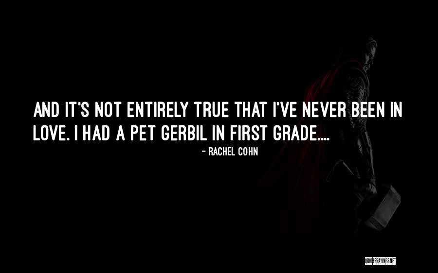 First Love True Love Quotes By Rachel Cohn First Love True Love Quotes By Rachel Cohn