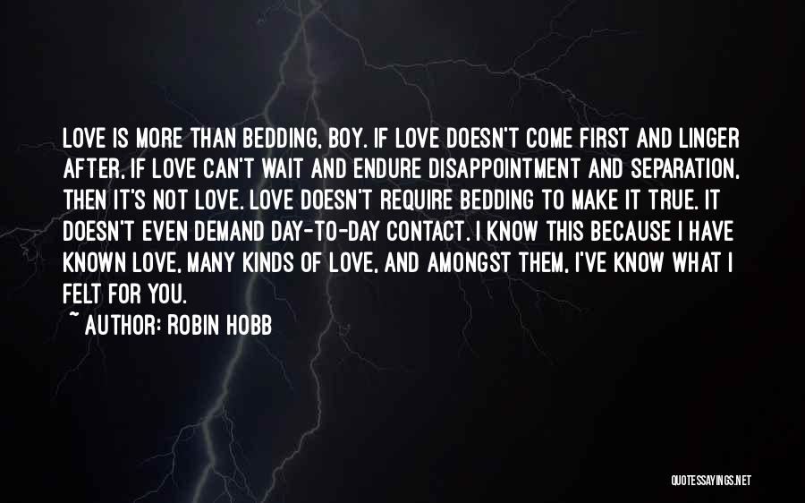 First Love True Love Quotes By Robin Hobb