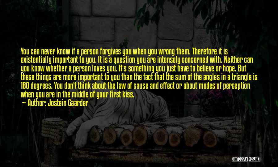First Loves Quotes By Jostein Gaarder
