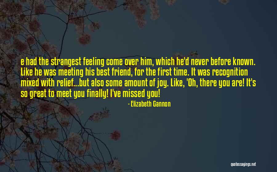 First Meeting A Friend Quotes By Elizabeth Gannon