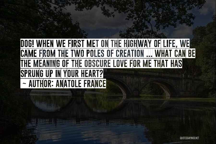 First Met Friendship Quotes By Anatole France