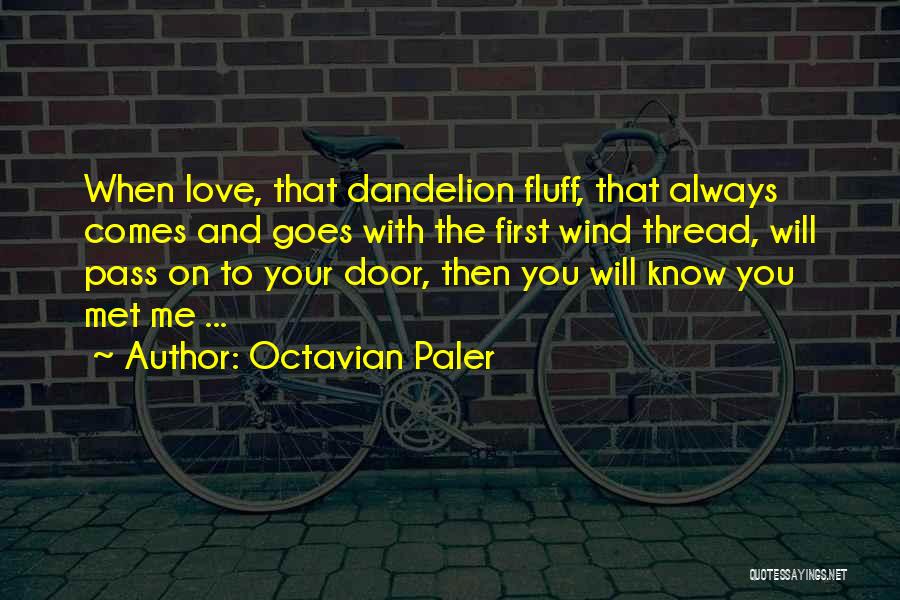 First Met Love Quotes By Octavian Paler