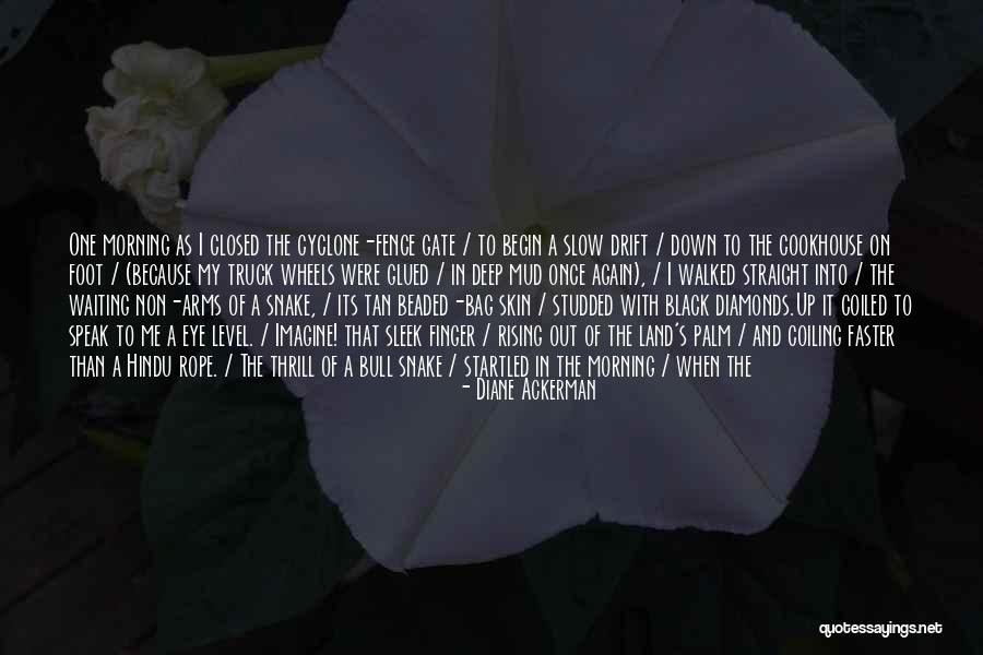 First Morning Light Quotes By Diane Ackerman