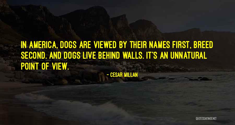 First Names Quotes By Cesar Millan