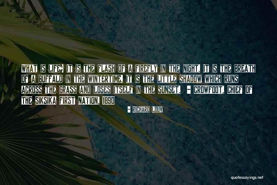 First Nation Chief Quotes By Richard Louv First Nation Chief Quotes By Richard Louv