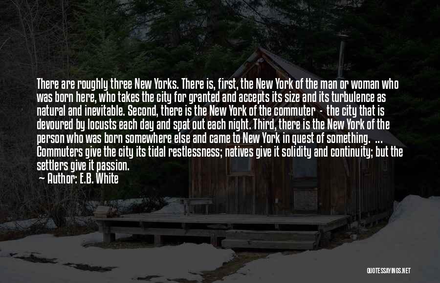 First Night Quotes By E.B. White