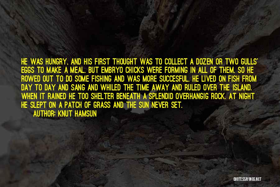 First Night Quotes By Knut Hamsun