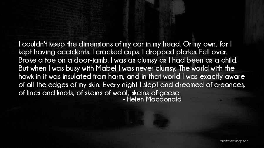 First Pitch Quotes By Helen Macdonald First Pitch Quotes By Helen Macdonald