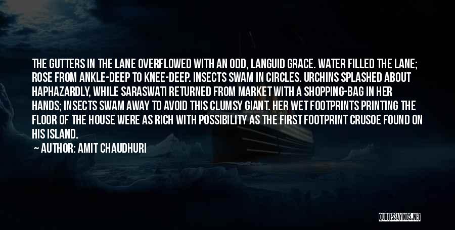 First Rains Quotes By Amit Chaudhuri