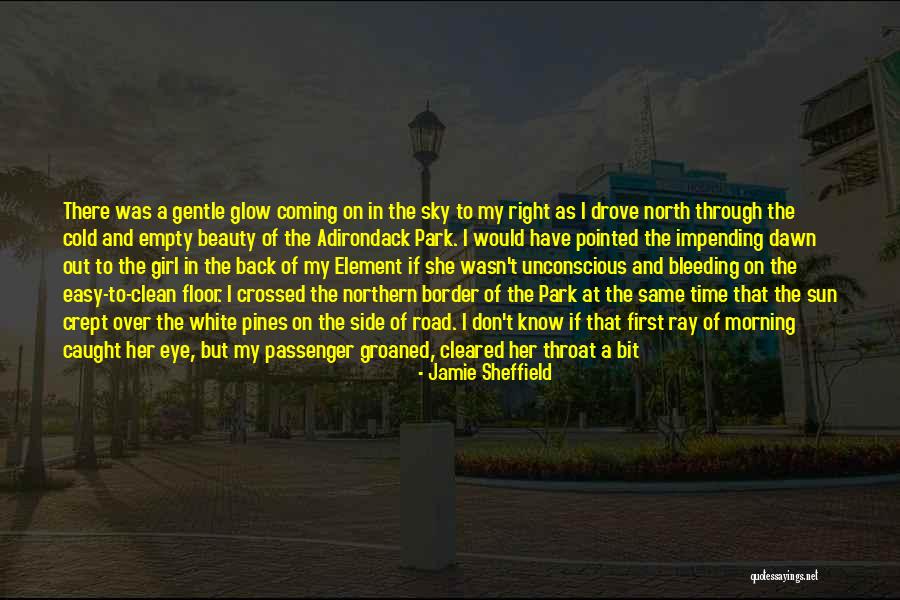 First Ray Sun Quotes By Jamie Sheffield First Ray Sun Quotes By Jamie Sheffield