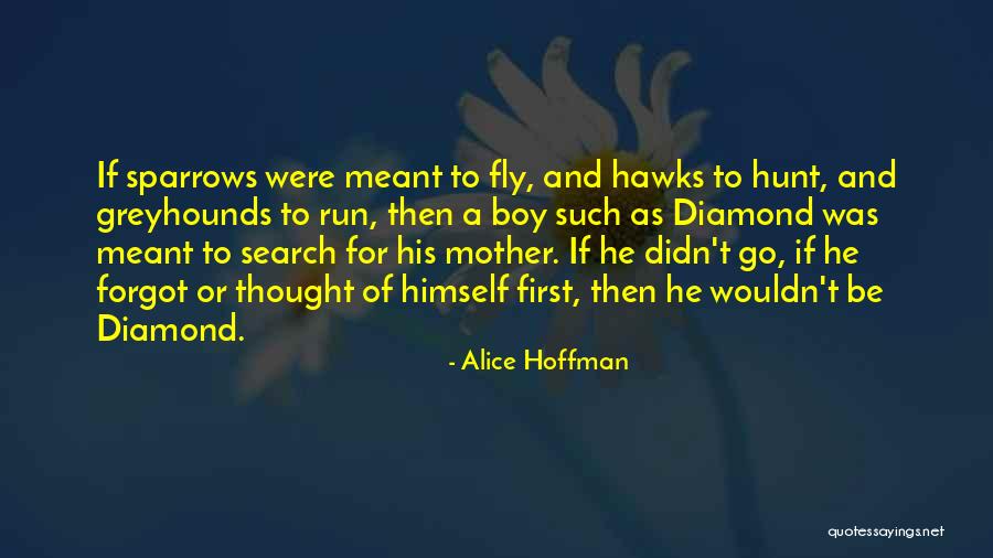 First Run Quotes By Alice Hoffman First Run Quotes By Alice Hoffman