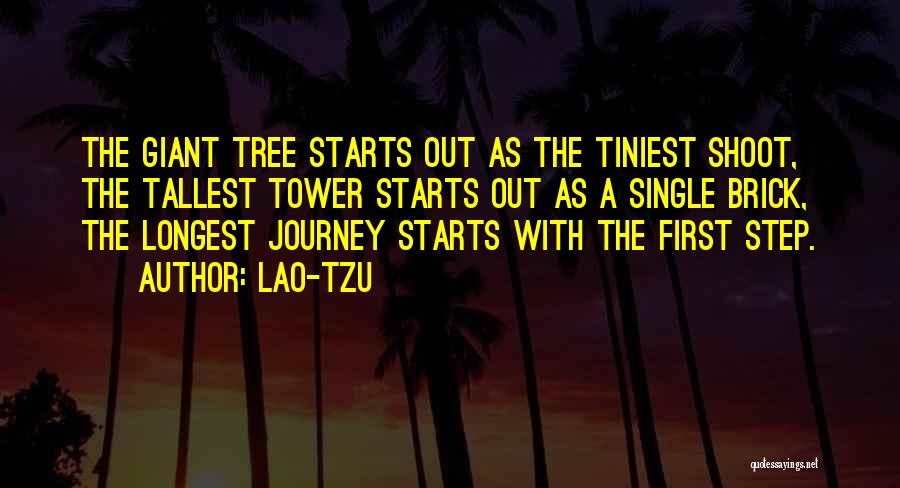 First Step In A Journey Quotes By Lao-Tzu
