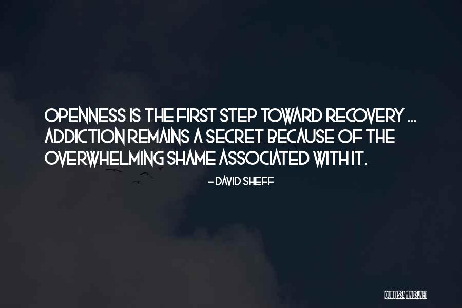 First Step To Recovery Quotes By David Sheff First Step To Recovery Quotes By David Sheff