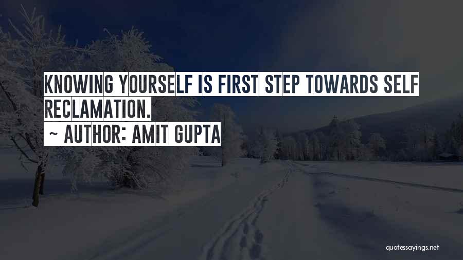 First Step Towards Quotes By Amit Gupta