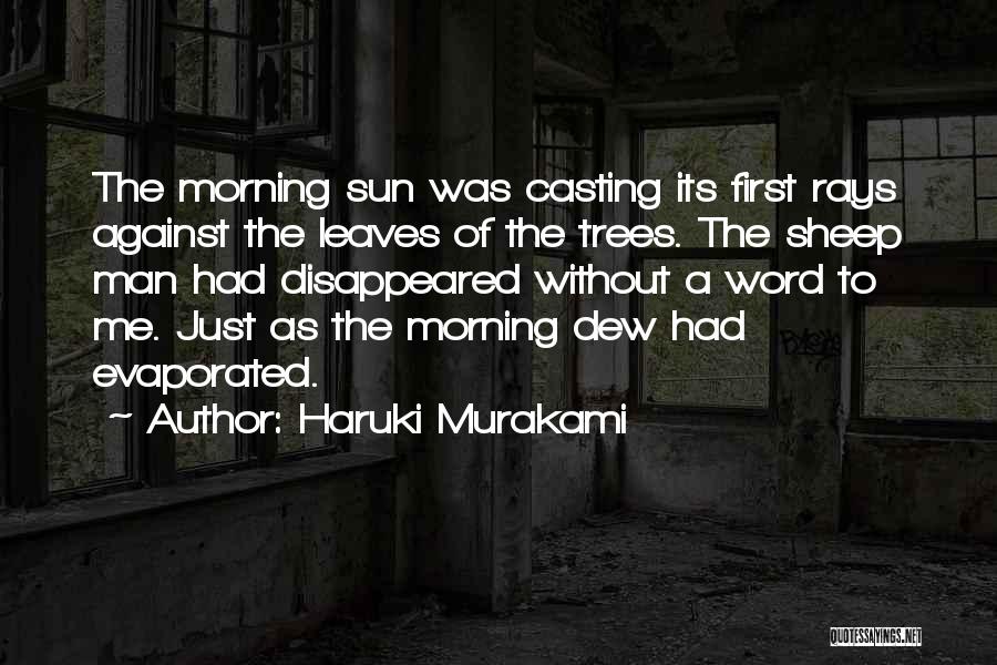 First Sun Rays Quotes By Haruki Murakami