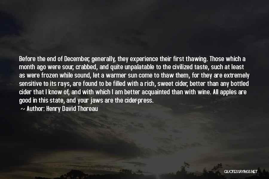 First Sun Rays Quotes By Henry David Thoreau