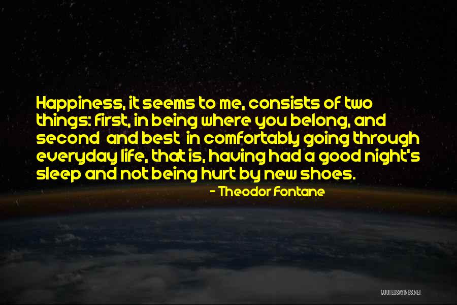 First Things Best Quotes By Theodor Fontane First Things Best Quotes By Theodor Fontane