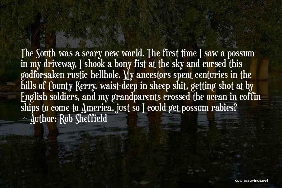 First Time Grandparents Quotes By Rob Sheffield