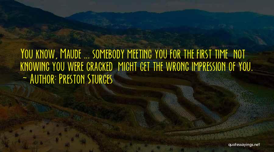 First Time Meeting Quotes By Preston Sturges