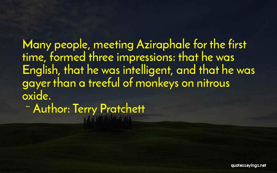 First Time Meeting Quotes By Terry Pratchett