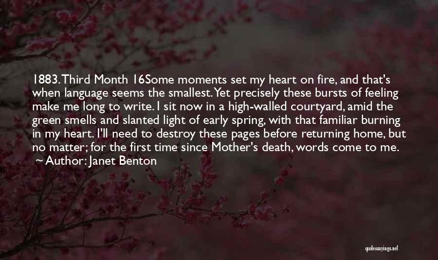 First Time Mother Feeling Quotes By Janet Benton